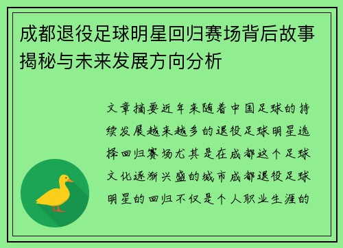 成都退役足球明星回归赛场背后故事揭秘与未来发展方向分析