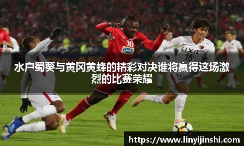 MYBALL迈博水户蜀葵与黄冈黄蜂的精彩对决谁将赢得这场激烈的比赛荣耀